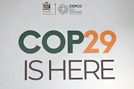 cop29 latest news