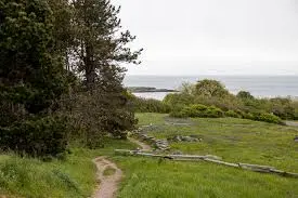 Beacon Hill Park - Victoria, British Columbia
