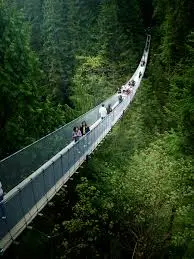 Capilano Suspension Bridge Park - North Vancouver