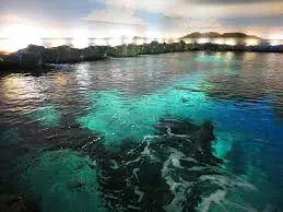 7. Ripley's Aquarium of Canada - Toronto, Ontario